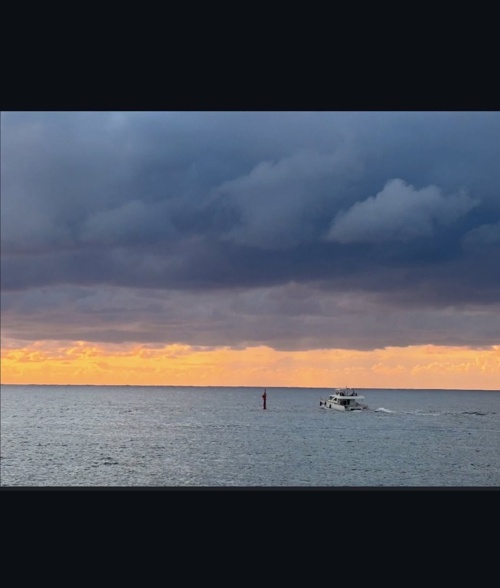 WOlf🐺 tweet media