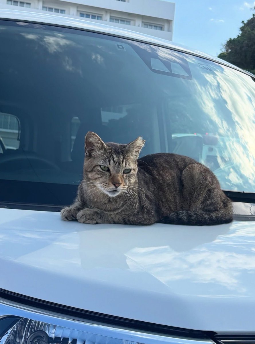 WOlf🐺 tweet media