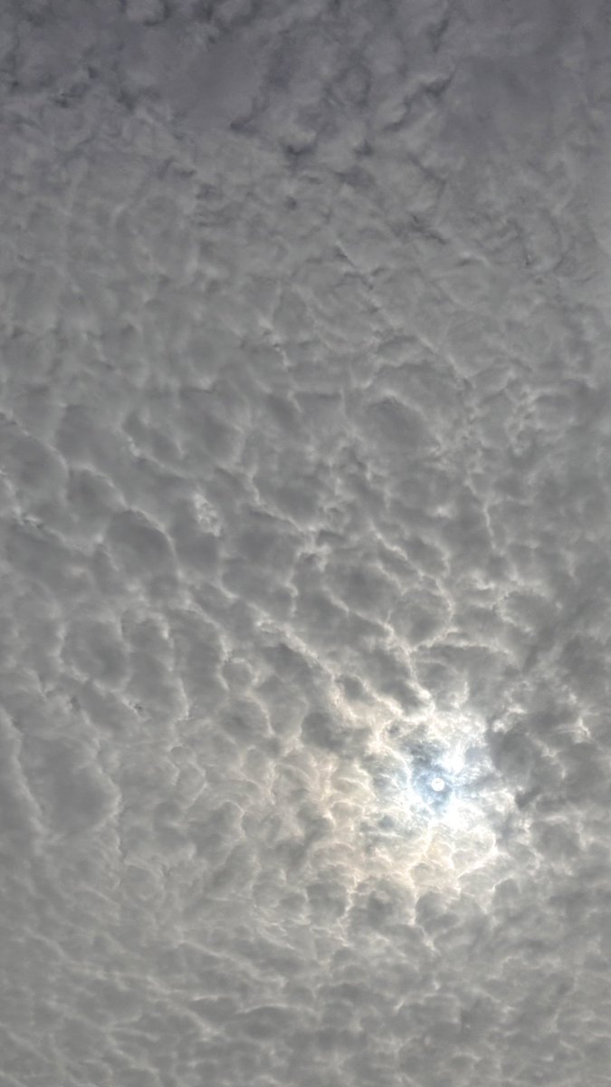 ع.ع.ع tweet media