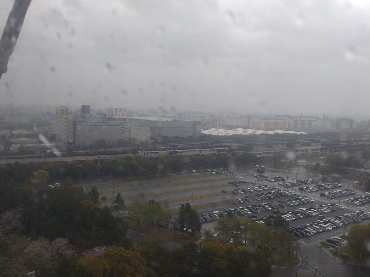 くろっしー(ねこぶん)@5/30海南イベ tweet media