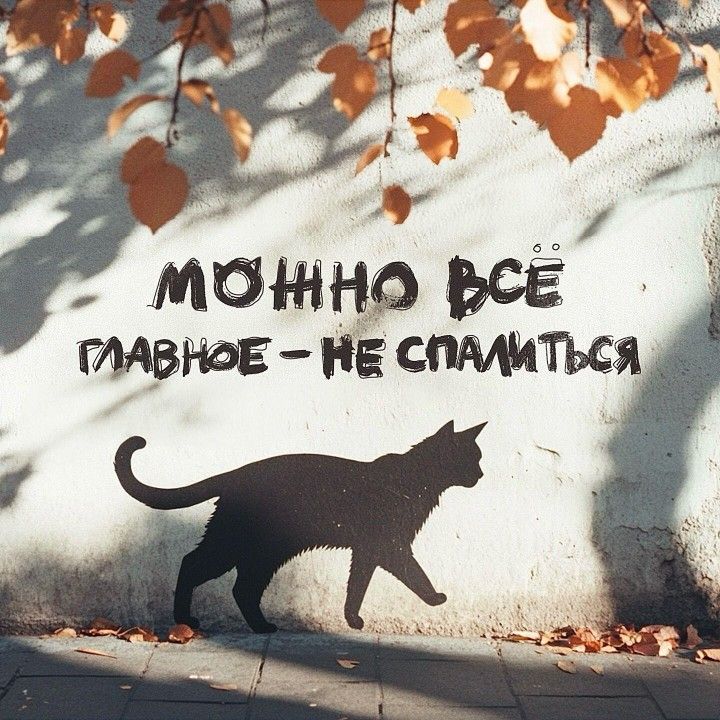 Господин Воронова Крыла tweet media