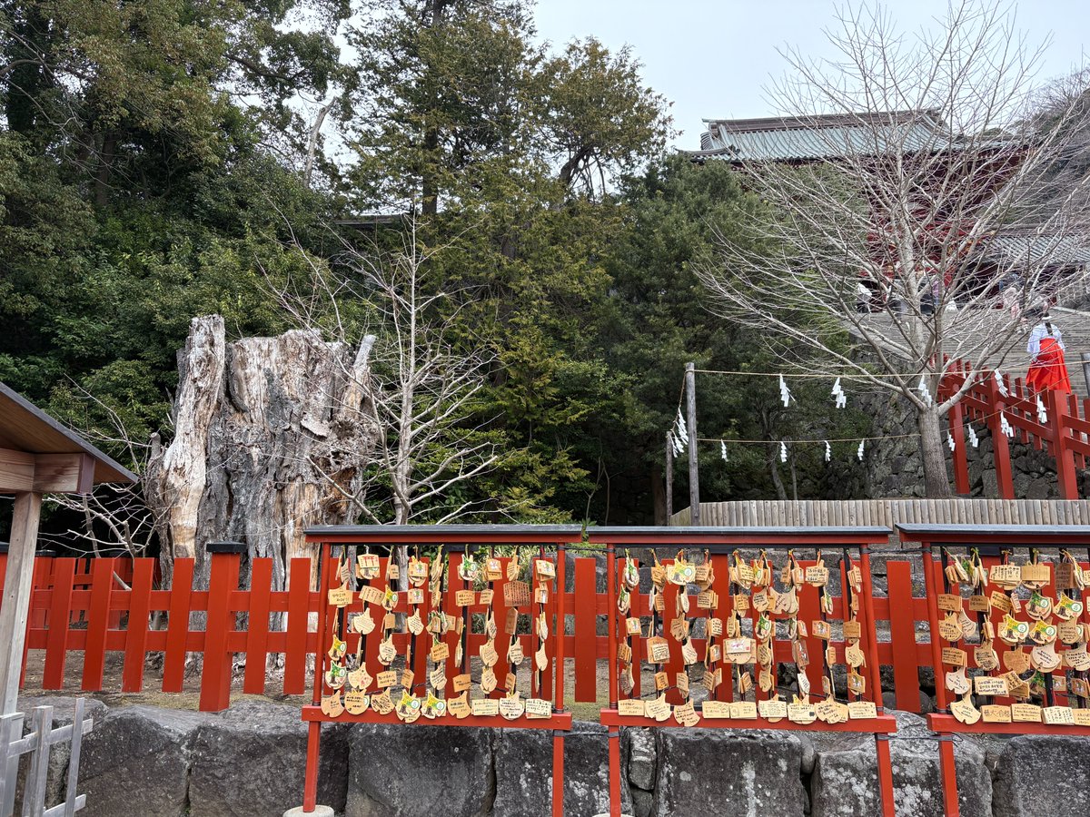 引きこもりの神社仏閣御朱印巡り tweet media