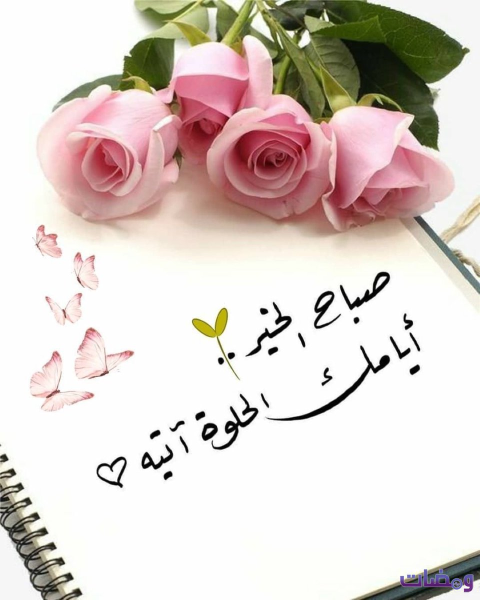 #صباح_الخير🩷🌸