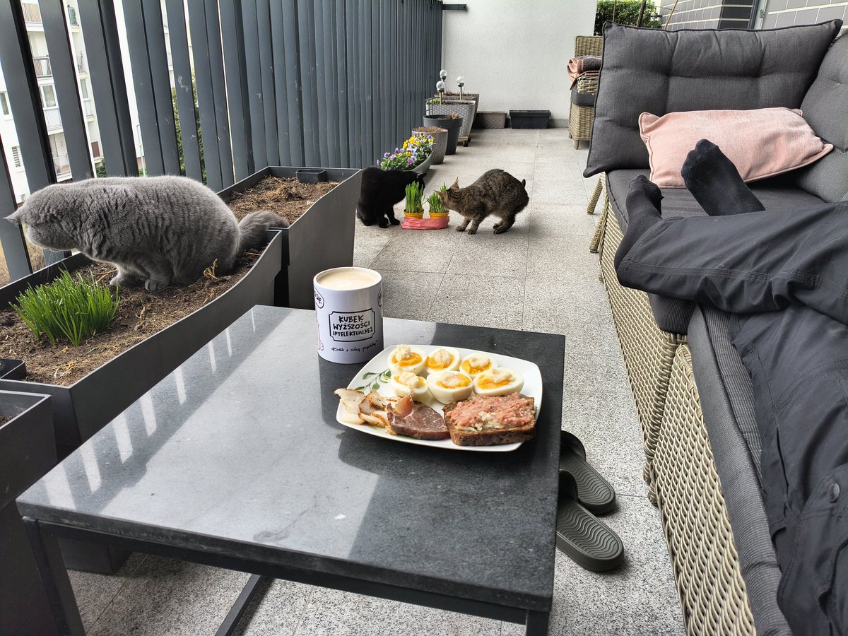 Remek Remkowski ♠️♥️♦️♣️ tweet media