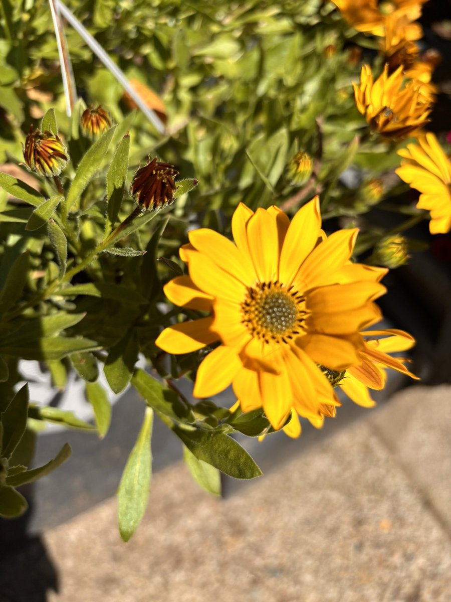 Em ☁️🌩️ | tweet media