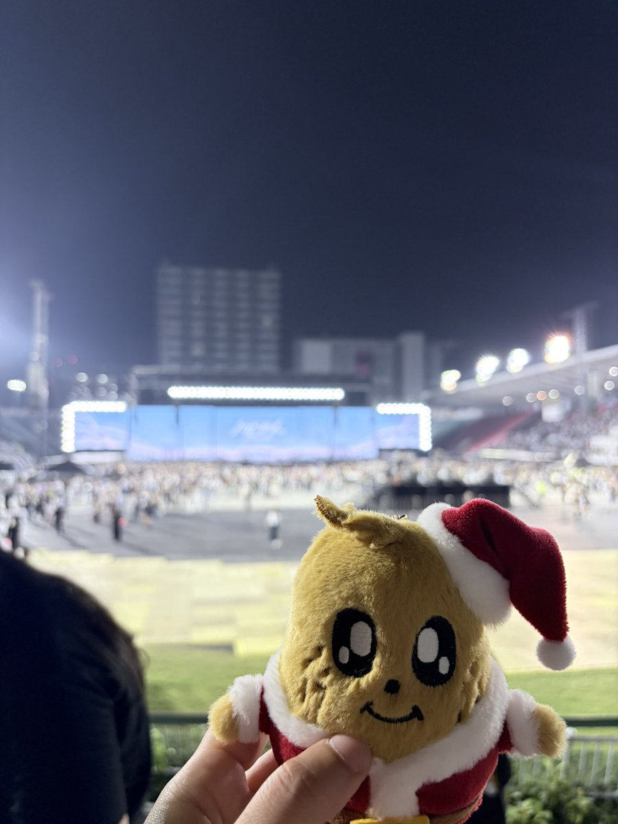 F‎ ˃ ᵕ ˂ H ♡ (^•ﻌ•^ღ) 🍀🍀 tweet media