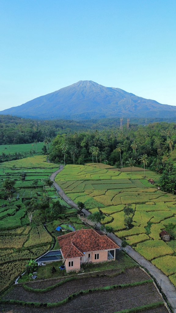 Menolak Tua tweet media