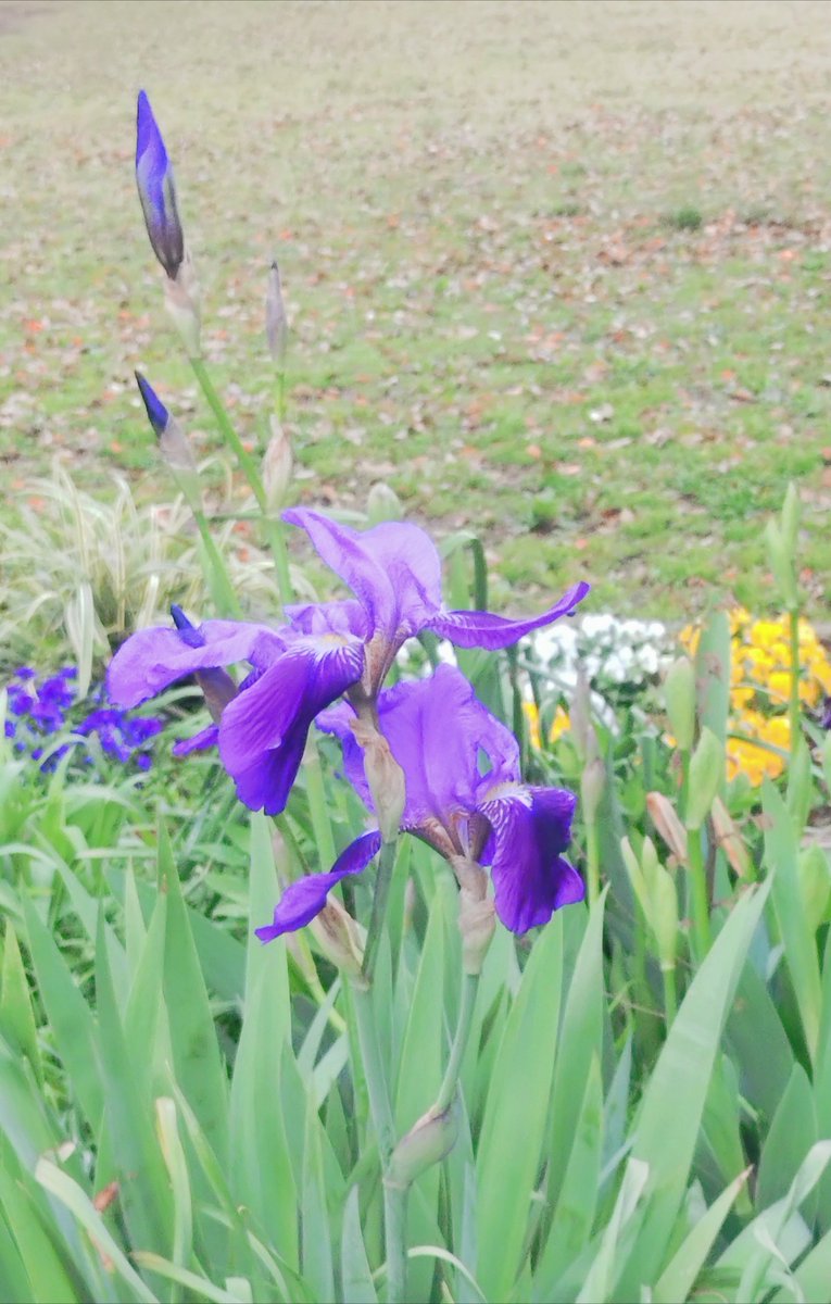 RISE HR183 tweet media