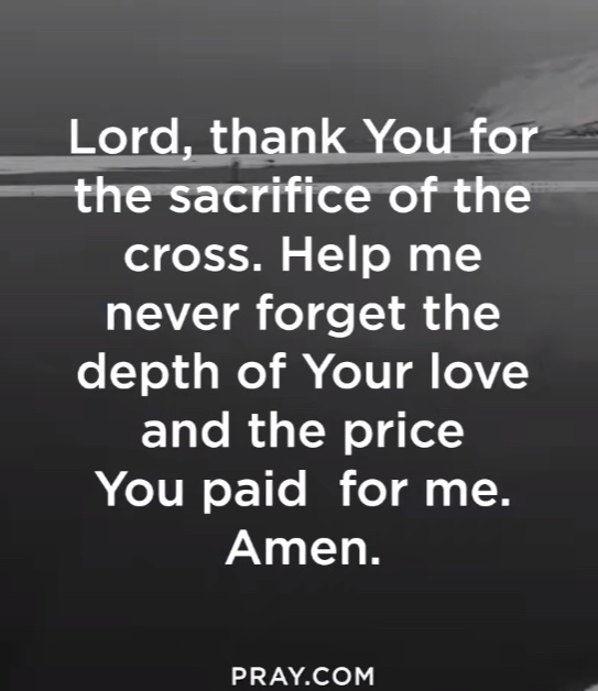 Wendy W ✝️💐🌿🌷🌿🌷🌿🌷 tweet media