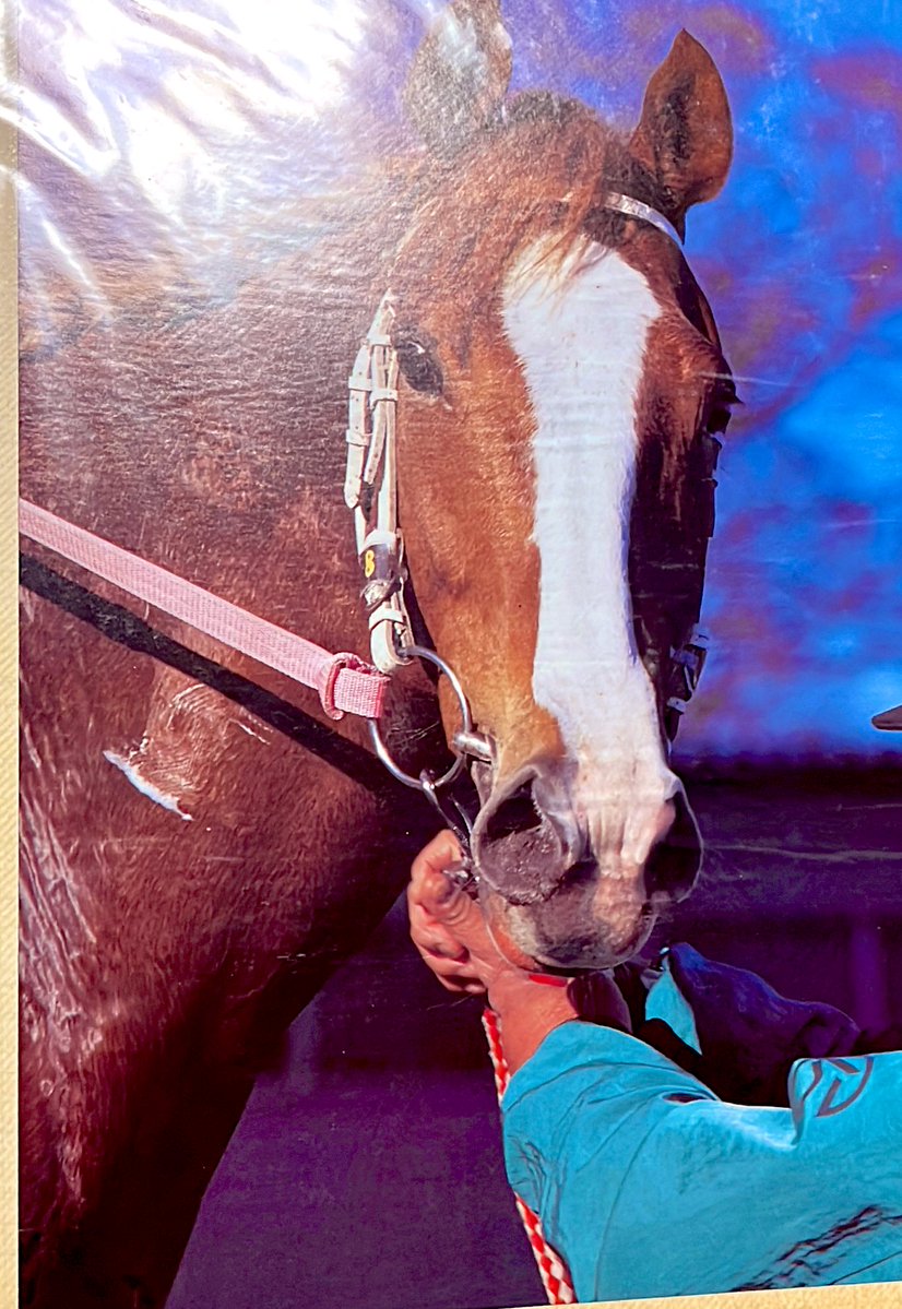 七重🎷 tweet media