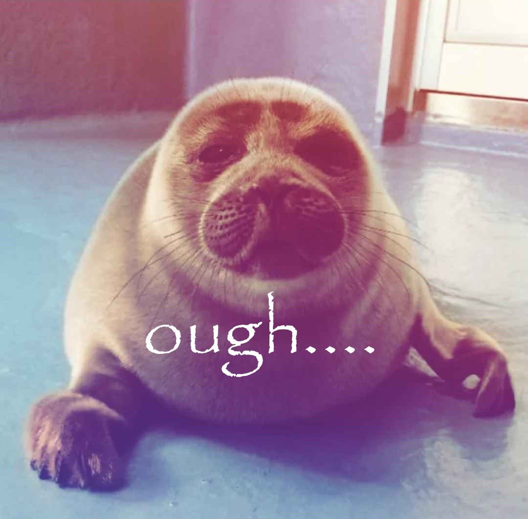 arch3r25 tweet media