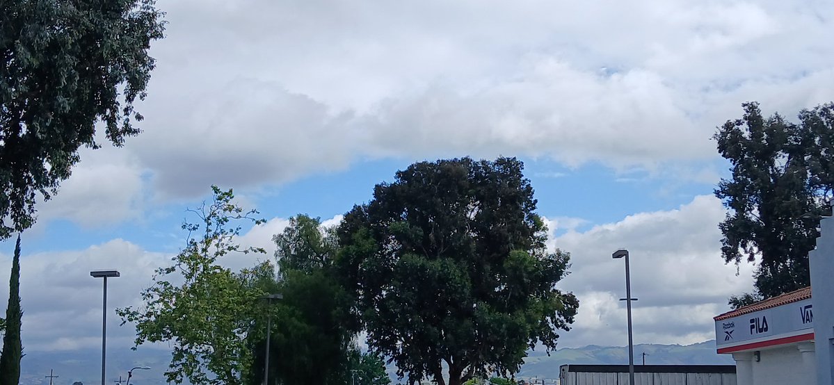 Jerry Lints tweet media