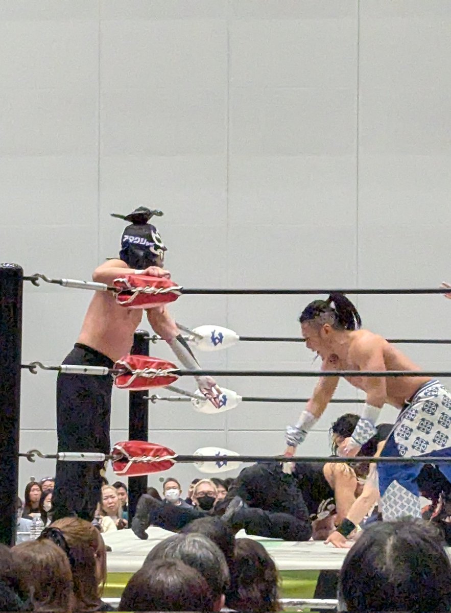 そらふね🕊️ tweet media