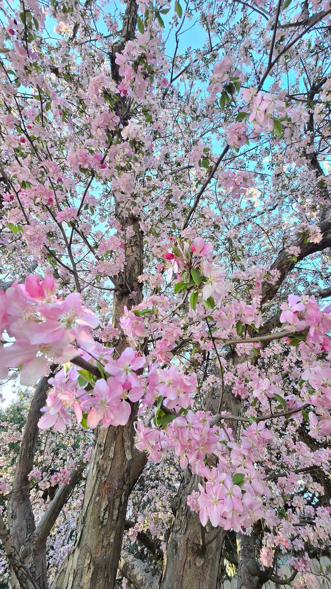 Gwyndoline Moon (currently embraced by Nurgle) tweet media