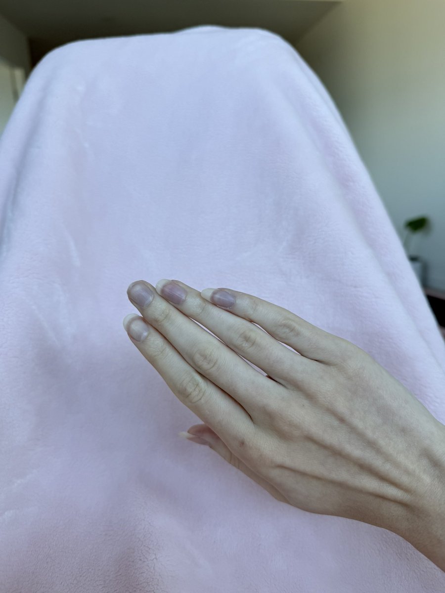 ⋆˚࿔ anie𝜗𝜚˚⋆ tweet media