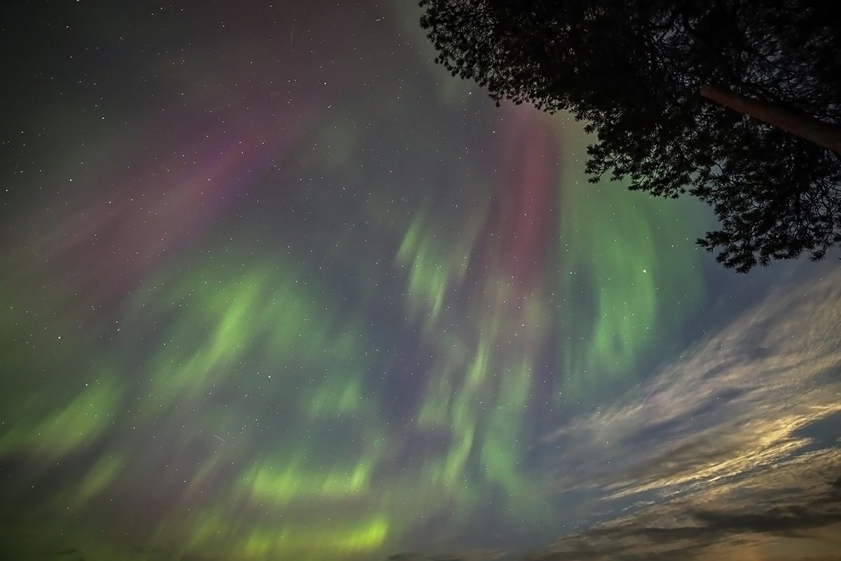 Seija Ropponen tweet media