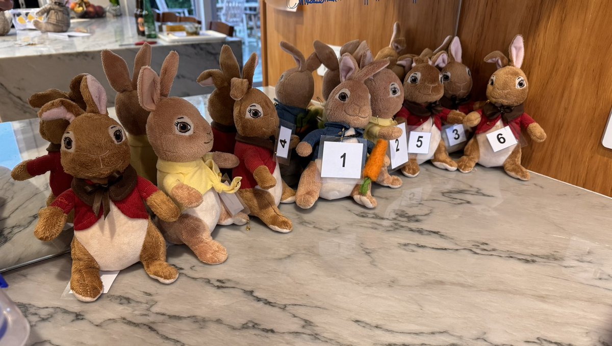 We had our annual Easter Bunny hunt today. Weather was a bit average but didn’t stop the Easter bunny turning up. 92 children and all bunnies are home safe and sound. Busy old day.