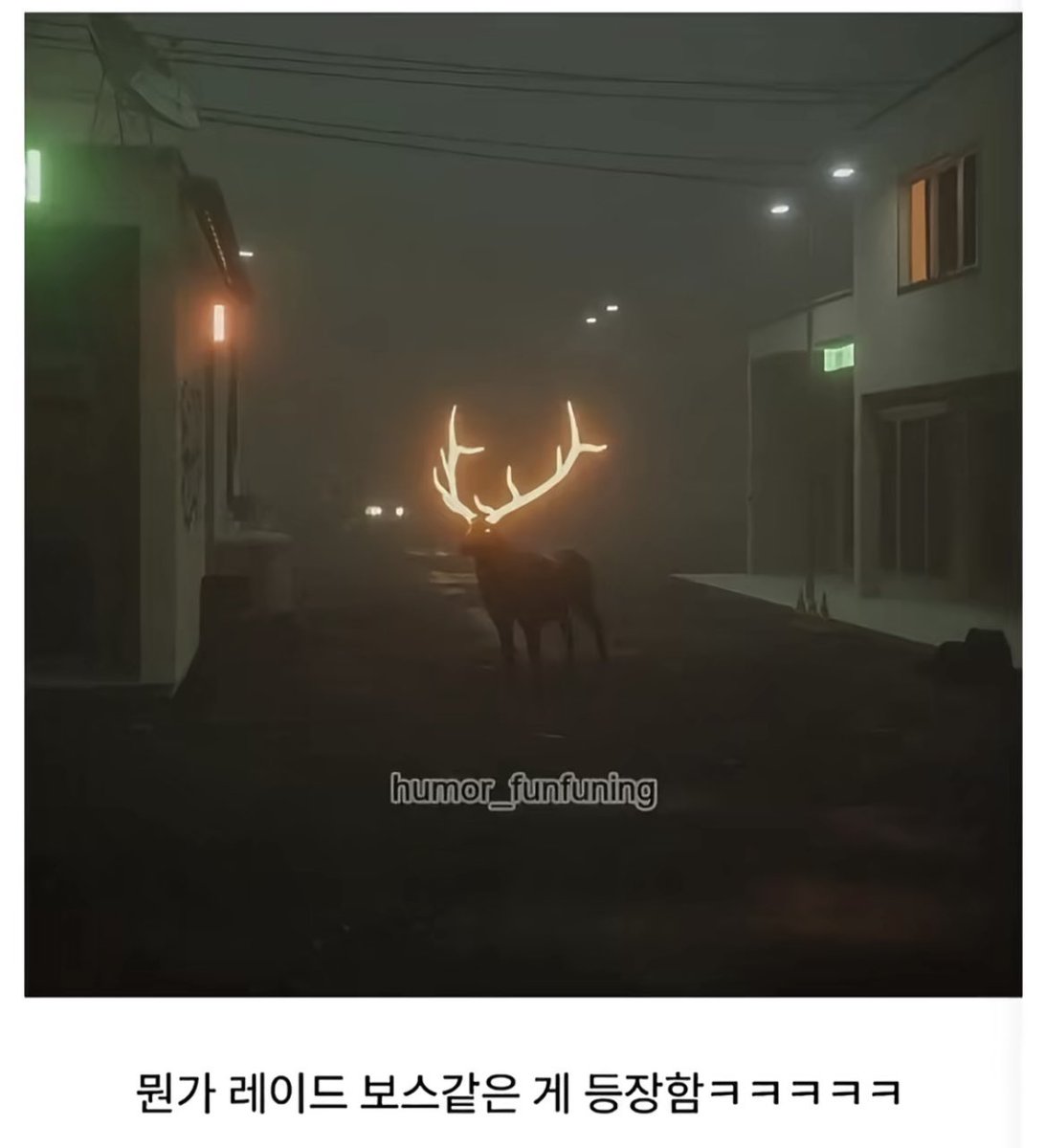 돌아온지지 tweet media