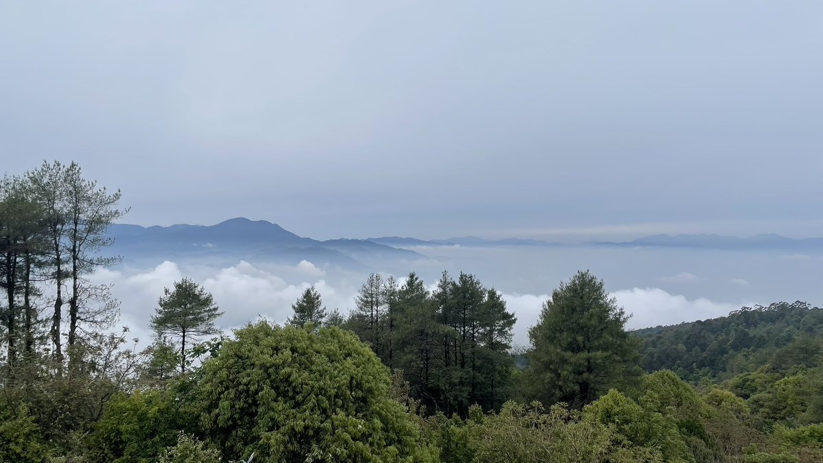 rach_aha tweet media