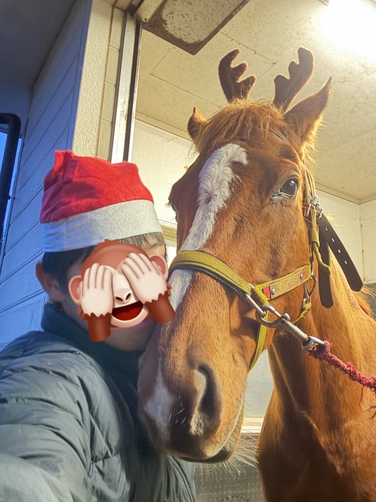 グリングリングラスの成長日記🐴 tweet media