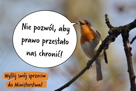 #836_DLA_BEZDOMNYCH_ZWIERZĄT_Robert Gola tweet media