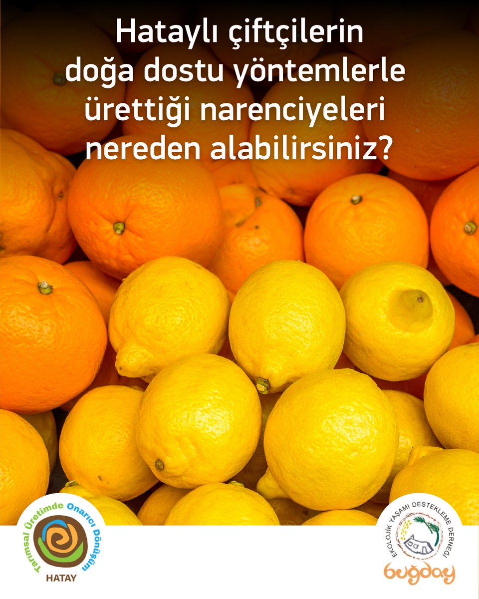 Buğday Derneği tweet media