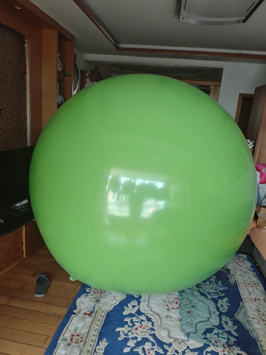 新西兰大肥鸠kererū tweet media