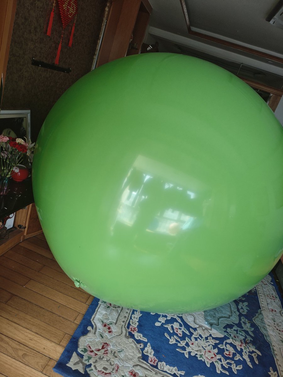 新西兰大肥鸠kererū tweet media