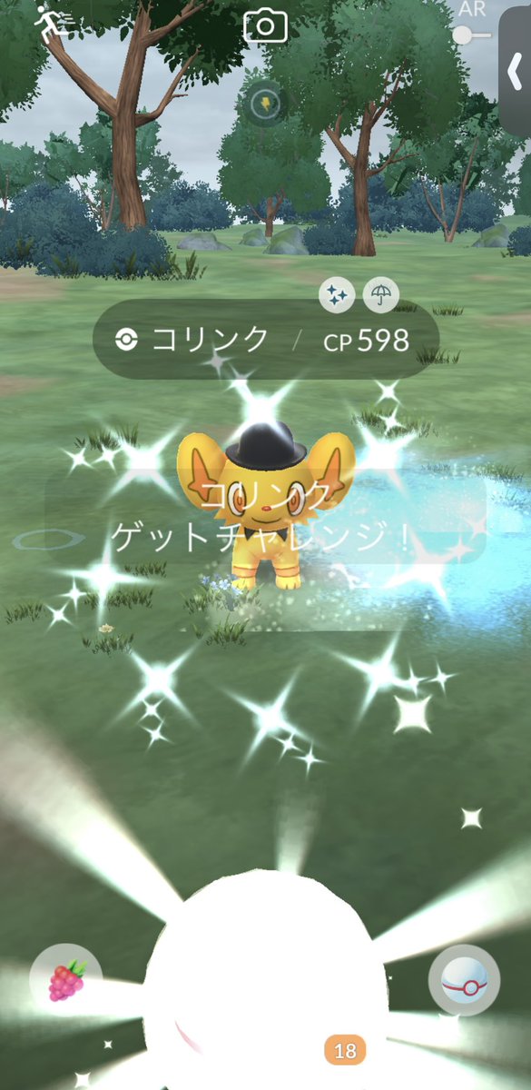 みやこ tweet media