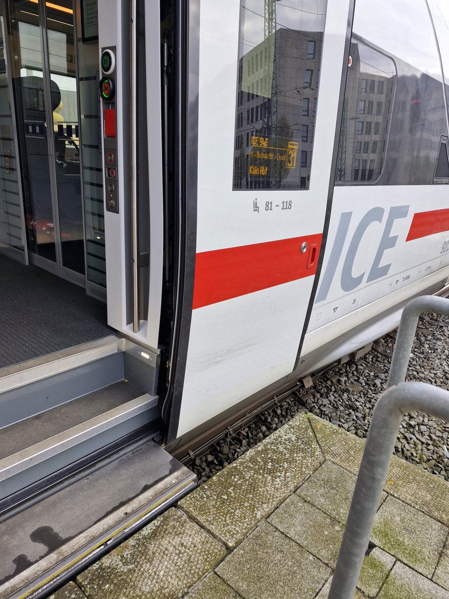 Lea📯🦆 tweet media