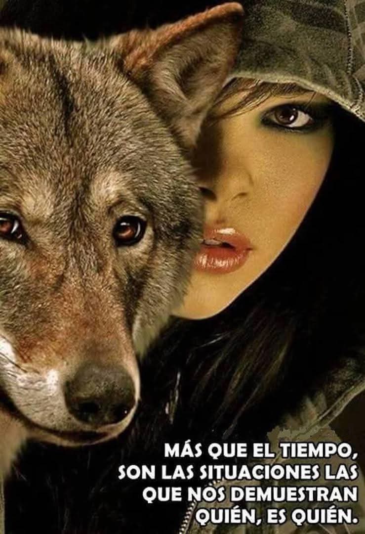 Francisco tweet media