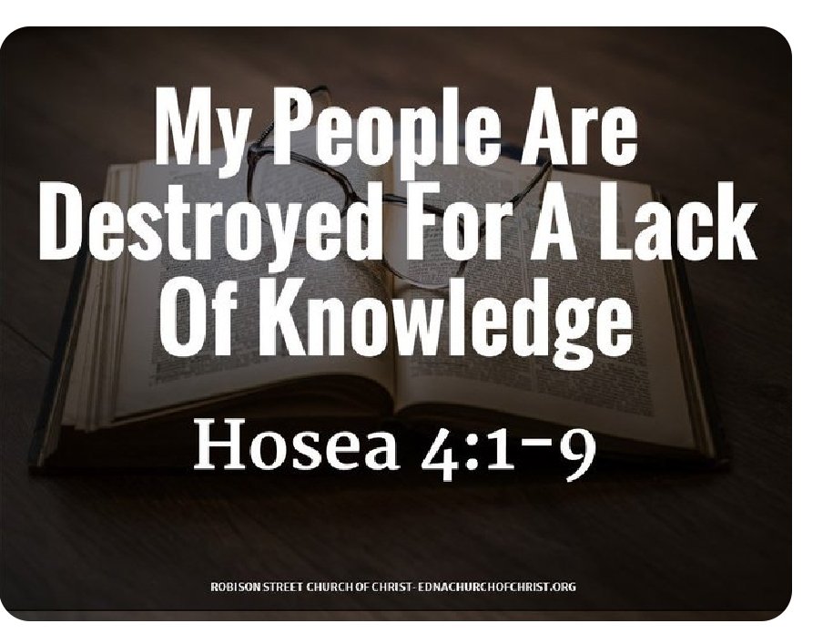 Pierre Jacobs tweet media