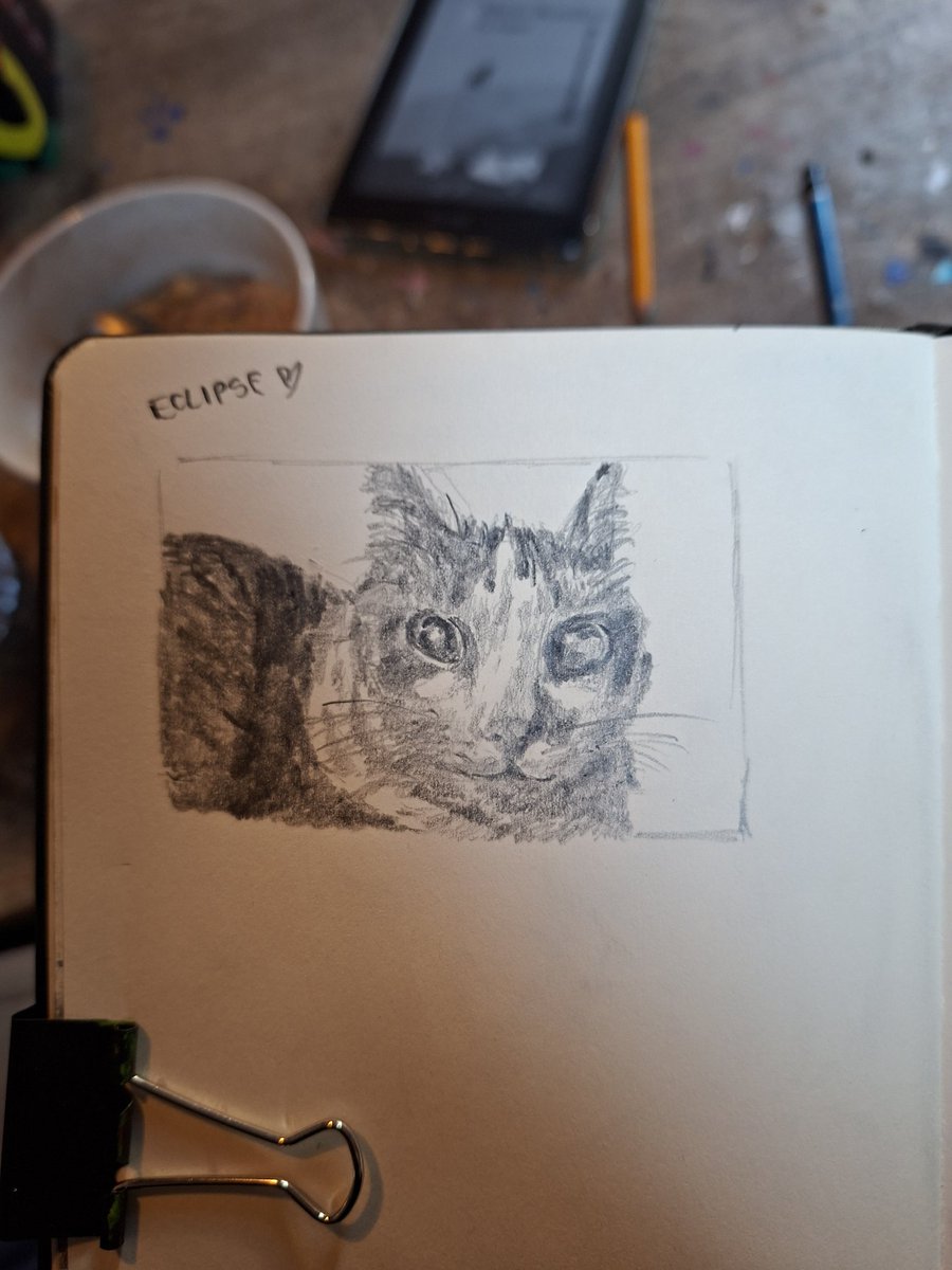 Makki 𐔌՞. .՞𐦯 tweet media