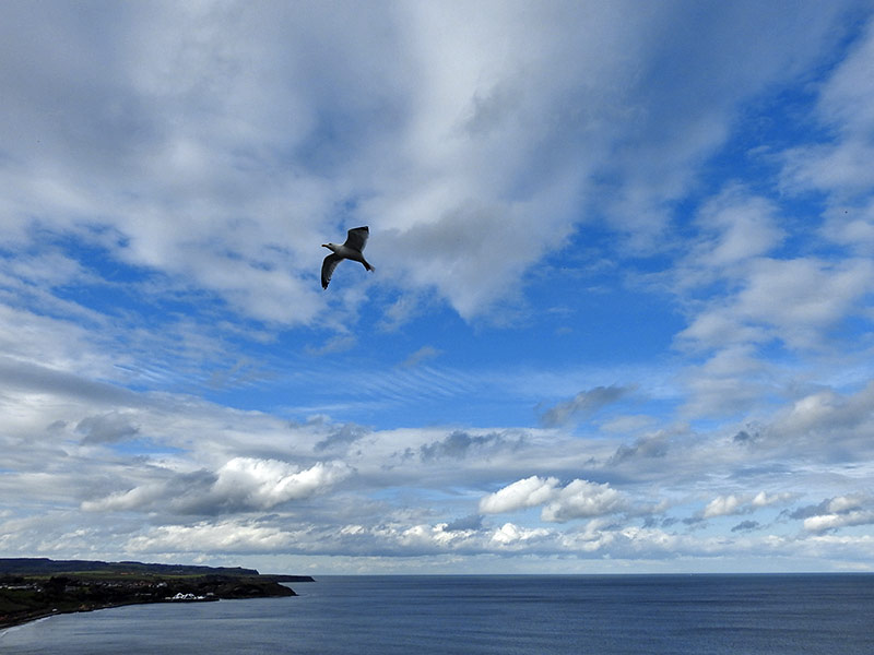 FeelBetter2day tweet media