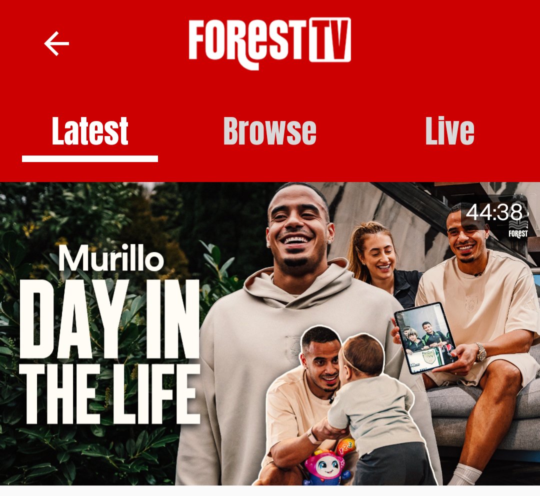 samholliday tweet media