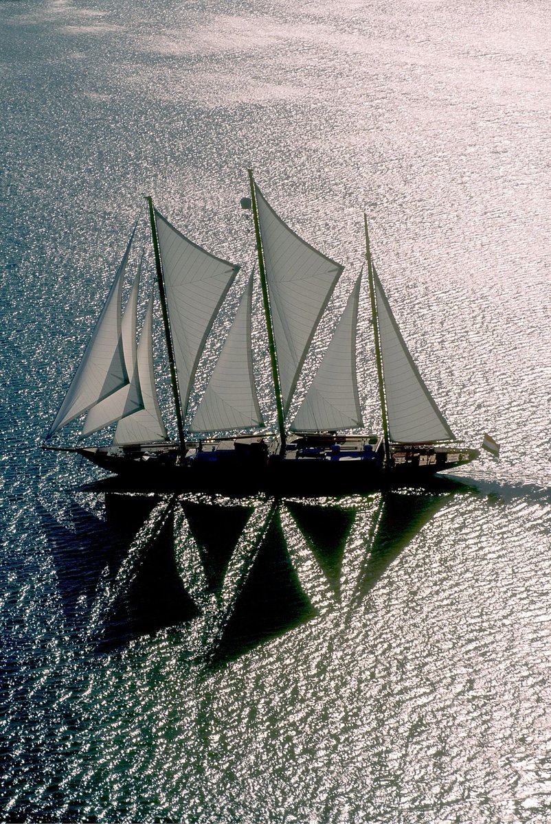 Yannick 🇫🇷🇫🇷🇫🇷 tweet media