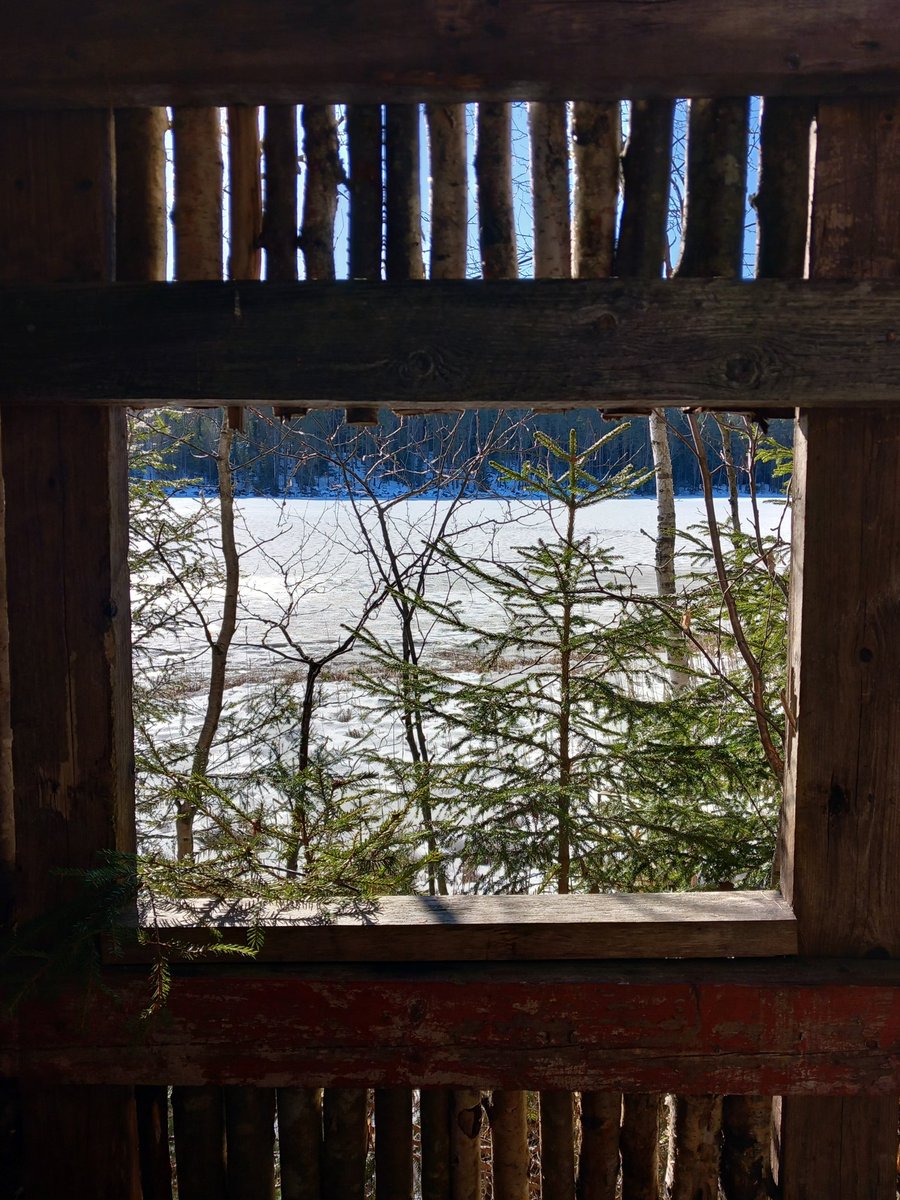 Mikko Välimaa tweet media