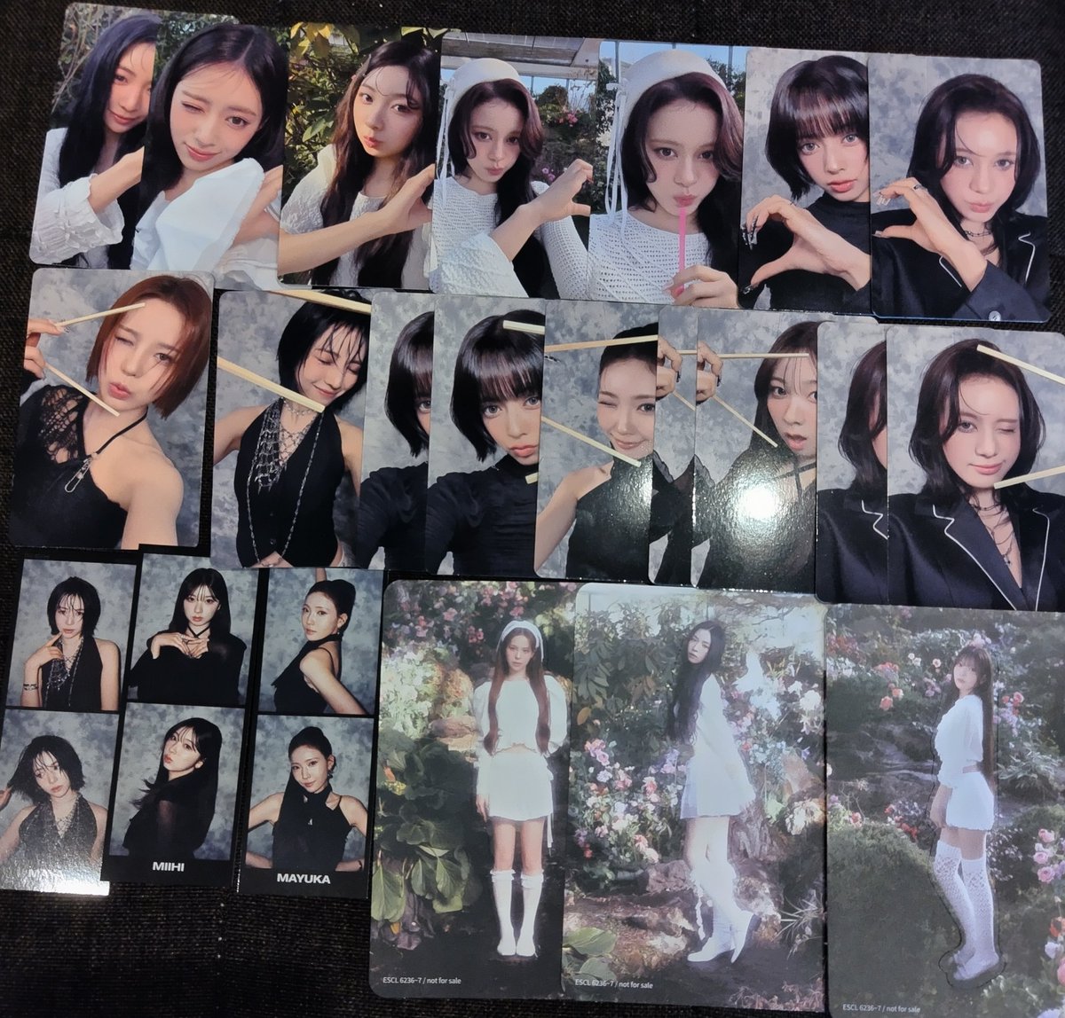 さーたん（アヤカ命名） tweet media