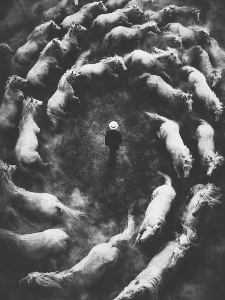 aseelswaid9's tweet image. #Photography
#Art
#VisualArt
#ContemporaryArt
#blackandwhitephotography

📸 Aseel Swaid