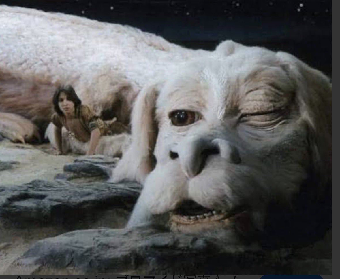 🇺🇦 Ɩ ıㄜՇ 1310🇺🇦 tweet media