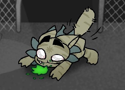 🌿DRAVEN the SPIKY🌿 tweet media