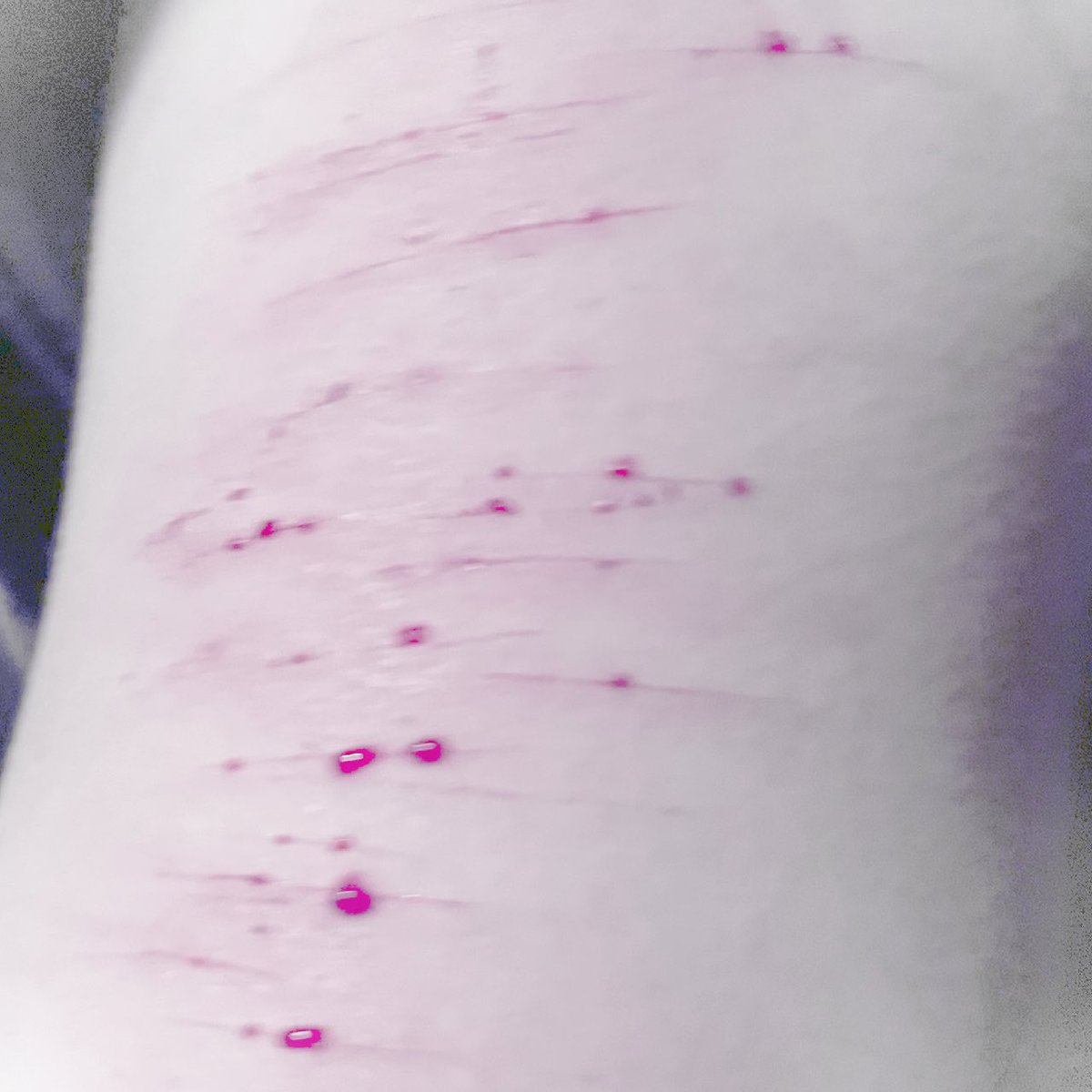  𓏻 ⏖ 𝗀ᥲᥒ𝗀ᥣᥱ of 𝘀𝗵𝘁𝘄𝘁 tweet media