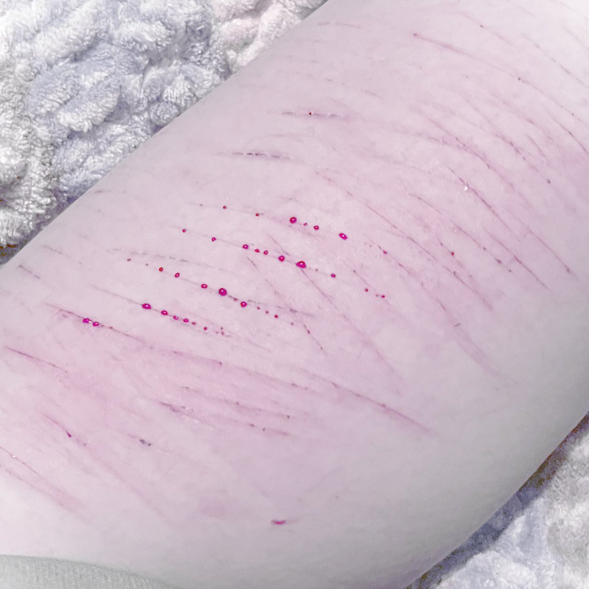  𓏻 ⏖ 𝗀ᥲᥒ𝗀ᥣᥱ of 𝘀𝗵𝘁𝘄𝘁 tweet media