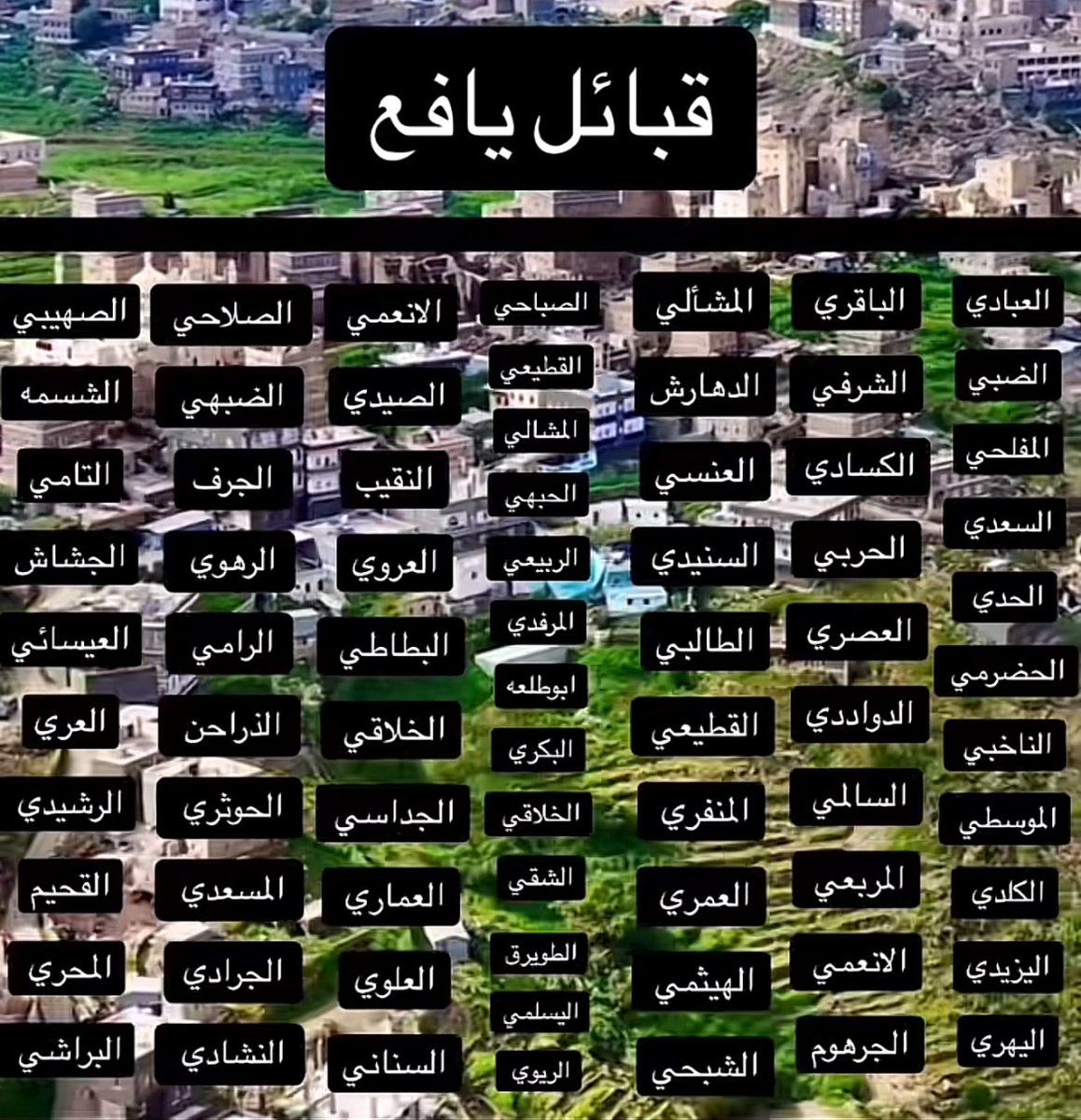 𝑛𝒐𝑝𝒂🦉 tweet media