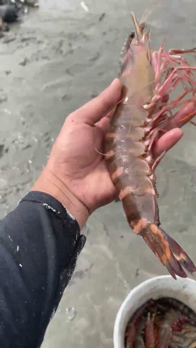 MYNEWSHUB tweet media