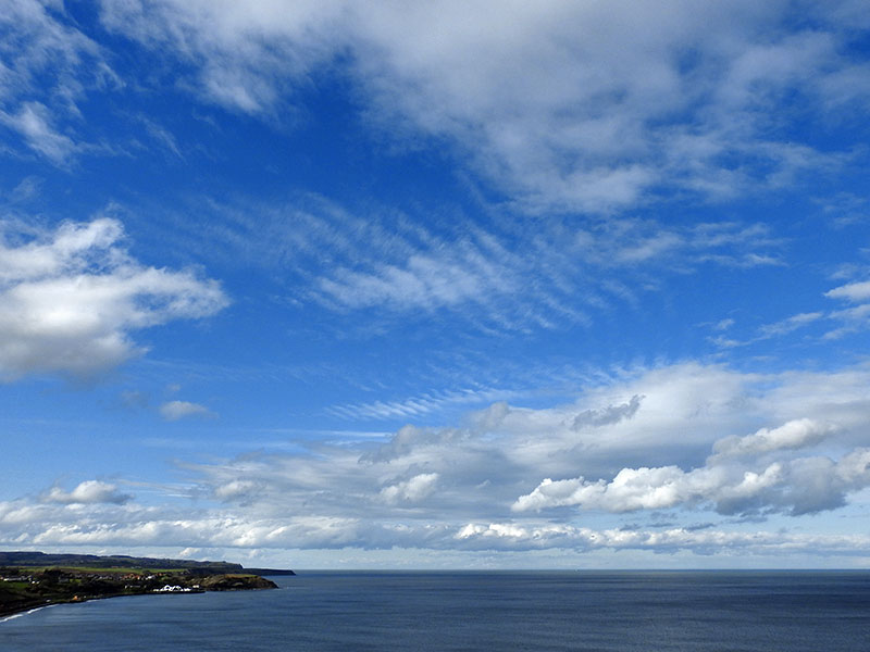 FeelBetter2day tweet media