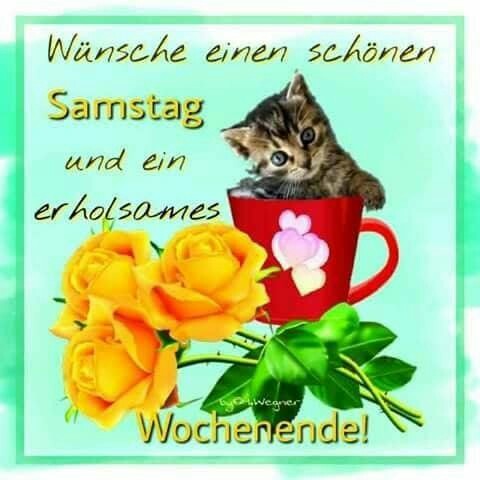 Uwe Vogt tweet media