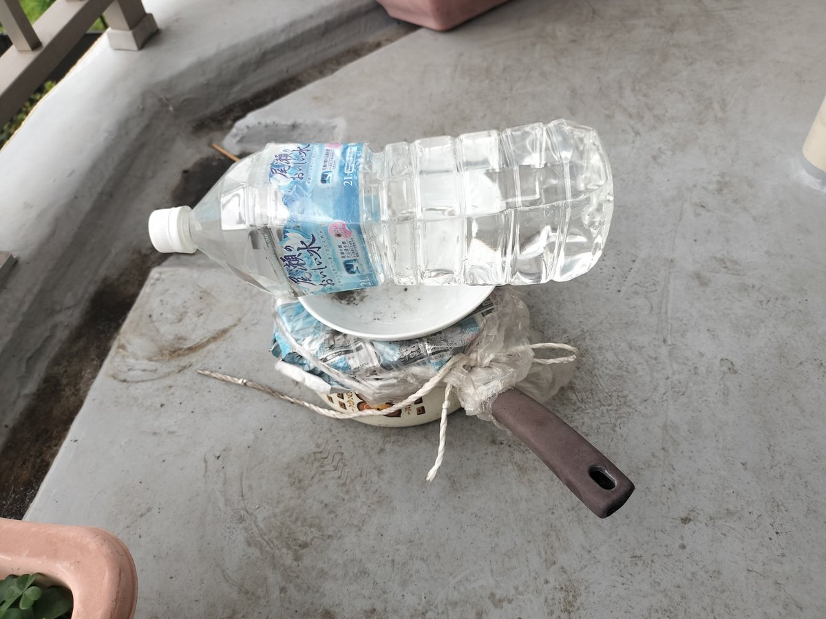 くわだサブロー_Skeb募集中！ tweet media