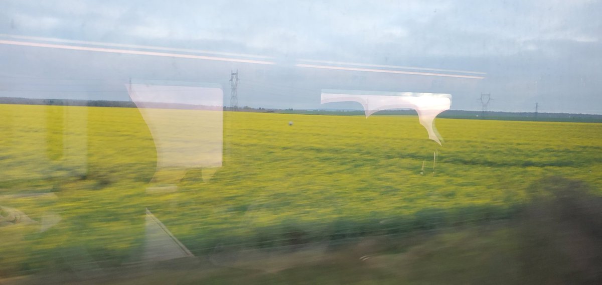 Sebastian S. Cocioba🪄🌷 tweet media