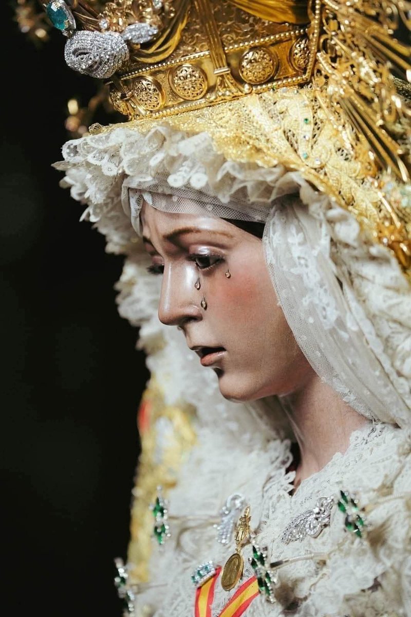 Manuel Sánchez T. tweet media